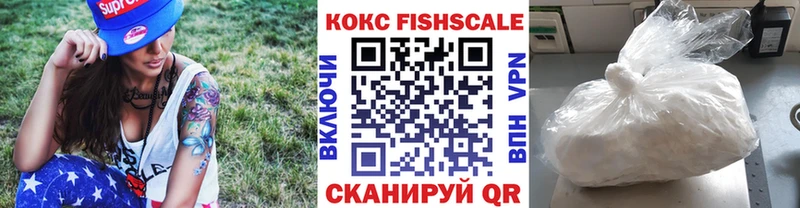 купить наркотик  МЕГА зеркало  COCAIN FishScale  Алагир 